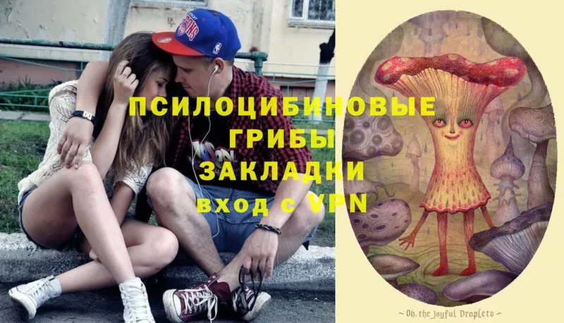 Галлюциногенные грибы Magic Shrooms  Богданович 